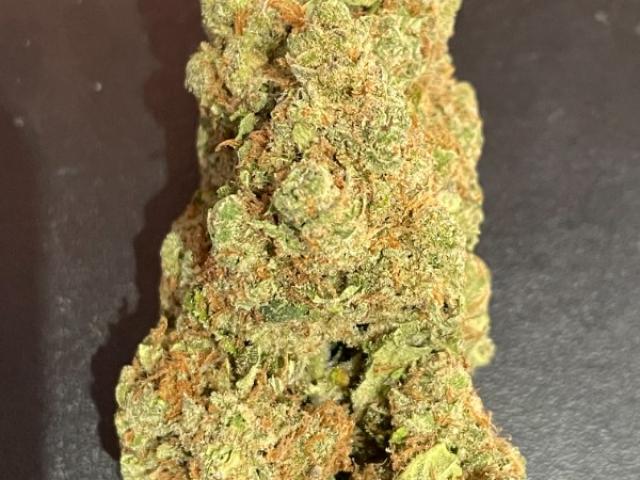 Amnesia Haze CBD indoor