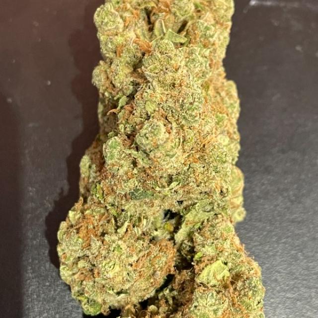 Amnesia Haze CBD indoor